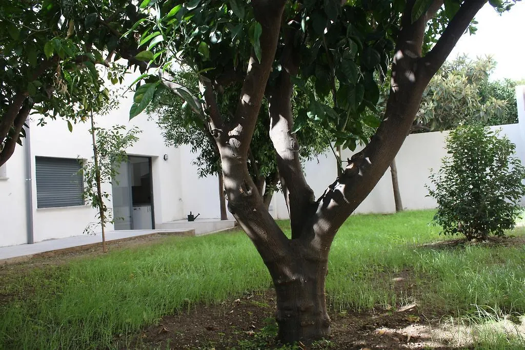 Residencia Mayol - Adults Only 팔마데마요르카 0*,  스페인
